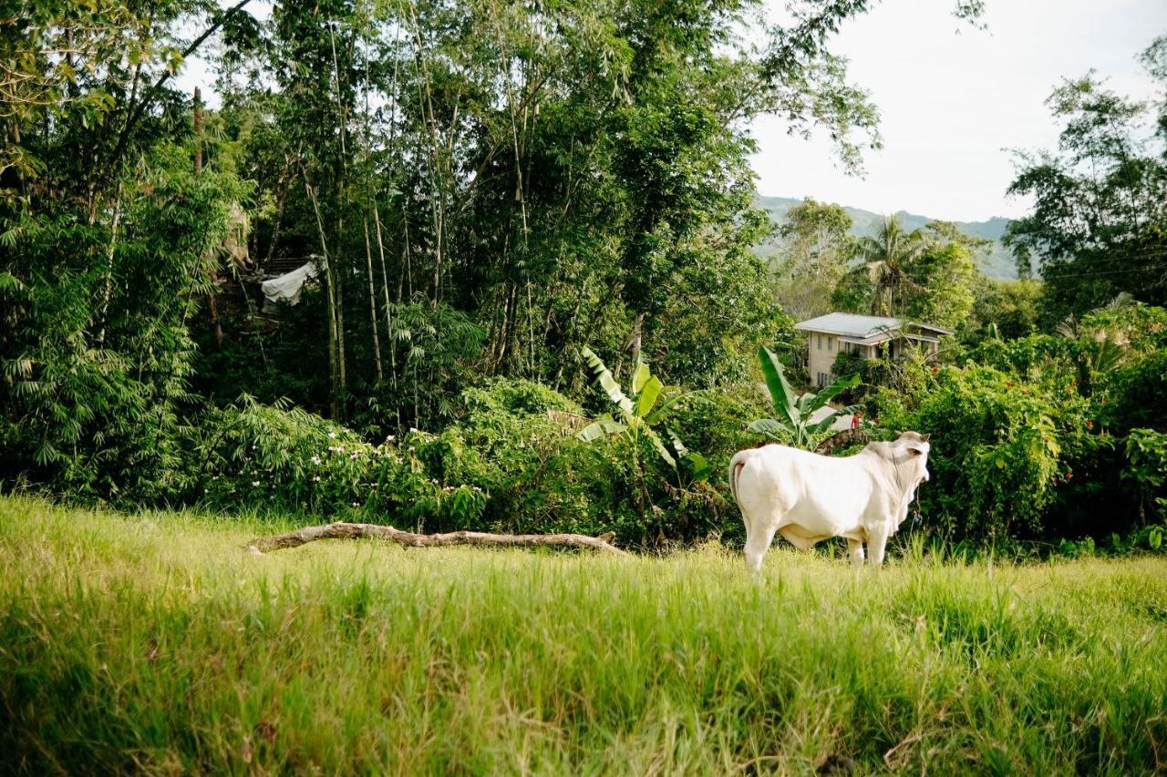 150 Peakway Mountain Resort Dalaguete Ngoại thất bức ảnh